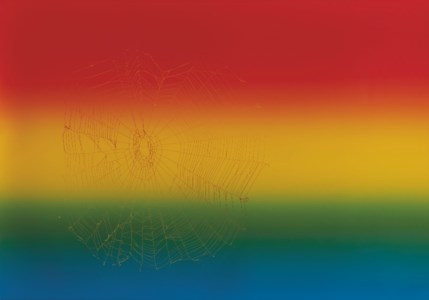 Web sampler #111