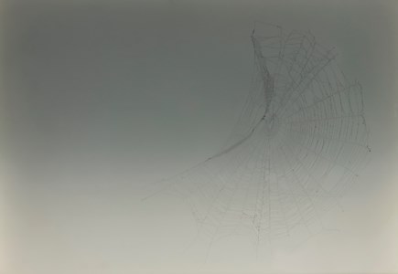 Web sampler #108