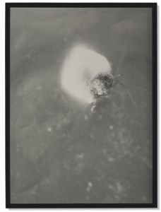 Untitled 1-13 (Dust), 1994-1999