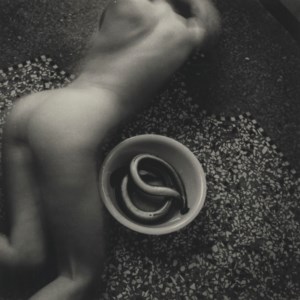 I.214 from 'Eel' series, Rome, 1977-1978