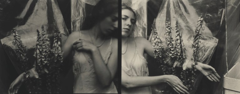 N 390.1, New York, 1979-1980