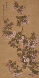 Spring Flowers