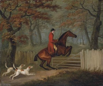 Over the fence