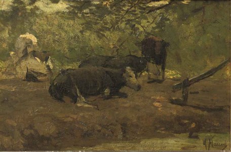 Resting cows on a summer day
