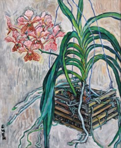Orchid (Vanda)