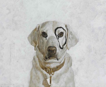 Study of Kleberg