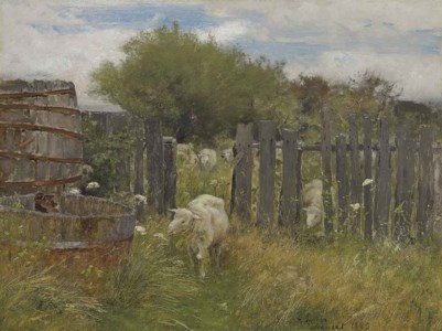 Back of Nichols' Barn, Sconset