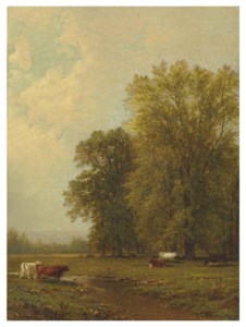Saratoga Landscape