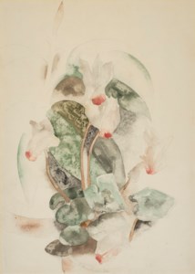 Cyclamen