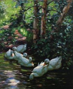 Sechs Enten im Wasser