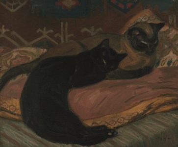 Deux chats couchés sur un canapé