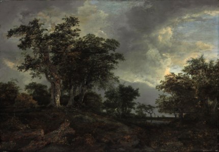 A wooded landscape with a pond