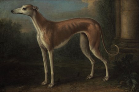 A Greyhound in a landscape