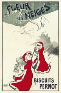 FLEUR DES NIEGES