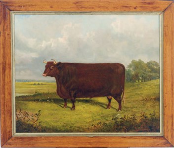 A bull in a landscape