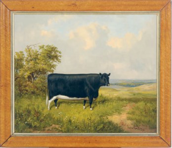 A black and white cow in a landscape