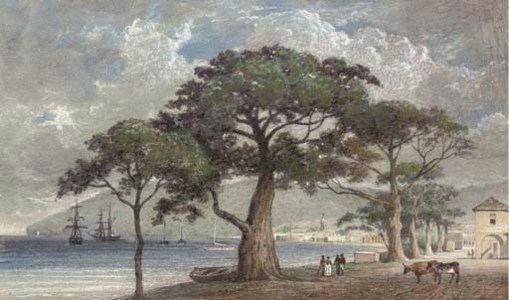 Port scene in the West Indies (possibly Kingstown, St Vincent)