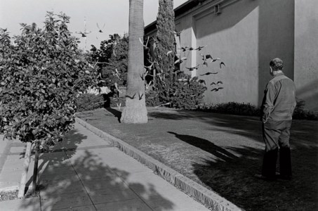 Santa Barbara, 1977