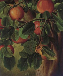 Ready for Picking