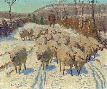Banning's Sheep