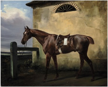 A tethered chestnut horse in a landscape