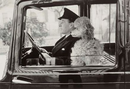 La Dolce Vita, Knightsbridge, London, 1953