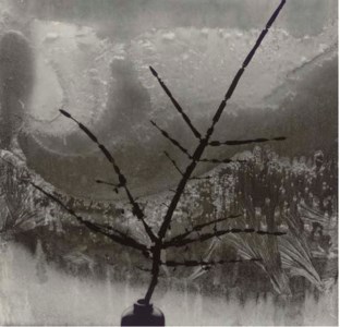 Ritual Branch, 1958