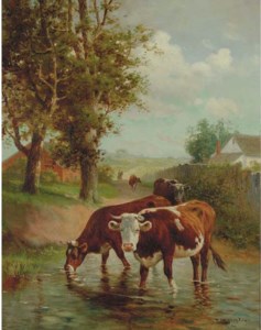 Cows in a rural landscape in a riverbed
