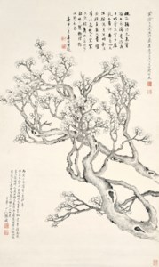 Plum Blossom