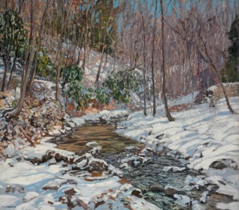 Woodland Brook