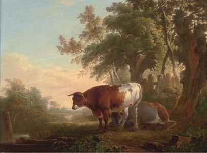 Cattle on a riverbank