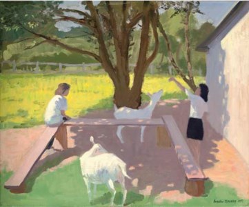 Goats, Rolleston-on-Dove