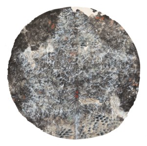 Circle Series