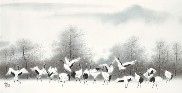 Cranes Frolicking Admist Snow