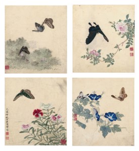 Butterflies and Flowers