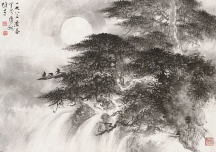 Monkeys in the Moonlight