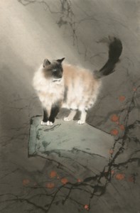 Persian Cat