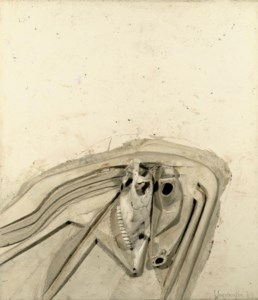 Désert blanc