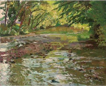 Shallow River