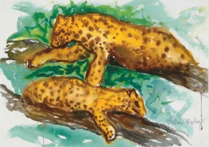 Leopards