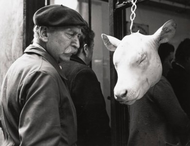 The Innocent, 1949