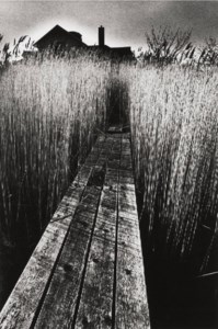 La Maison Noire, 1965