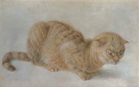 A crouching cat