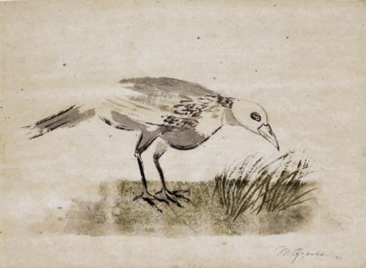 Bird Seeking to Nest