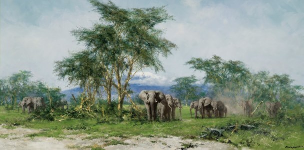 In the Shadow of Kilimanjaro-Amboseli