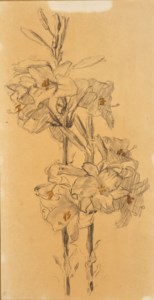 Lys