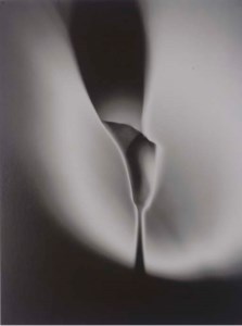 Calla, 1997