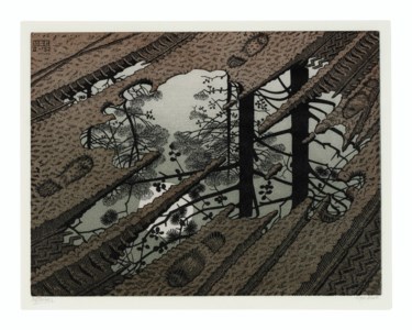 Puddle