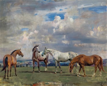 Horses at Grass
