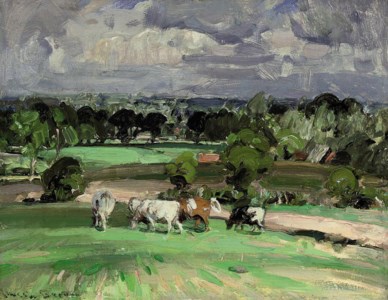 Cows grazing on a summer's day